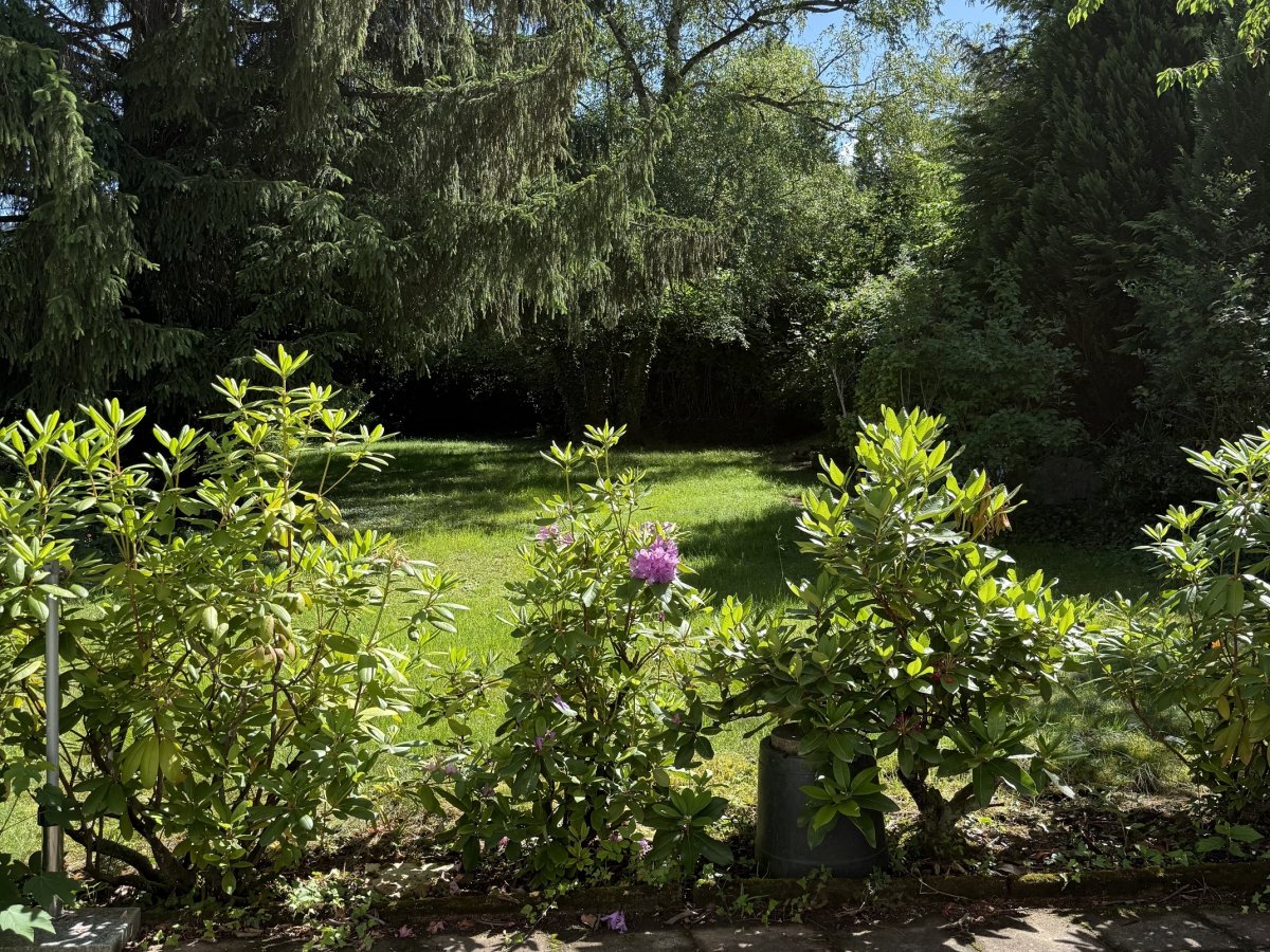 IMG_9852.jpeg
