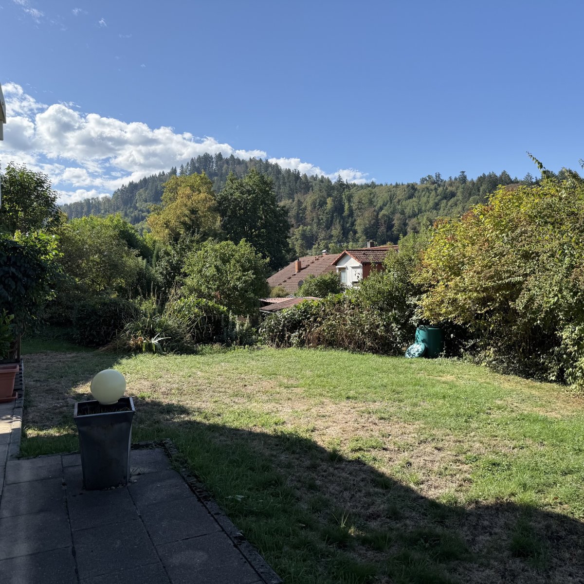 IMG_2059.jpeg